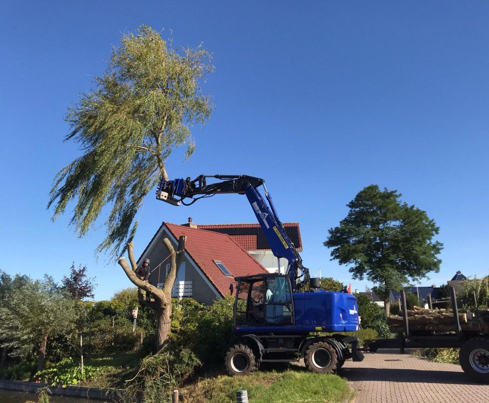 Bomen snoeien