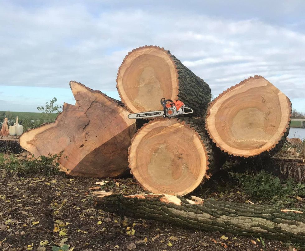 Bomen rooien